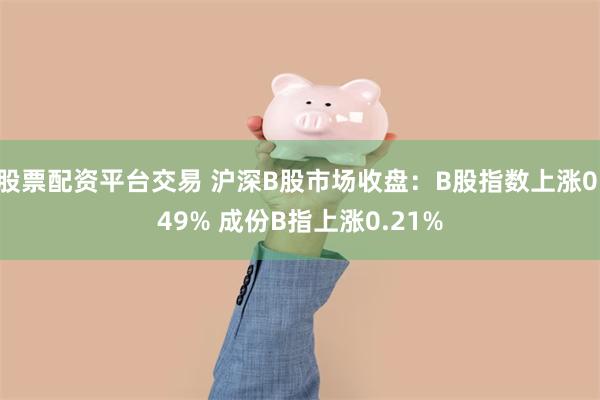 股票配资平台交易 沪深B股市场收盘：B股指数上涨0.49% 成份B指上涨0.21%