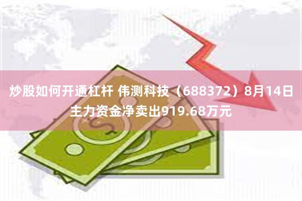 炒股如何开通杠杆 伟测科技（688372）8月14日主力资金净卖出919.68万元