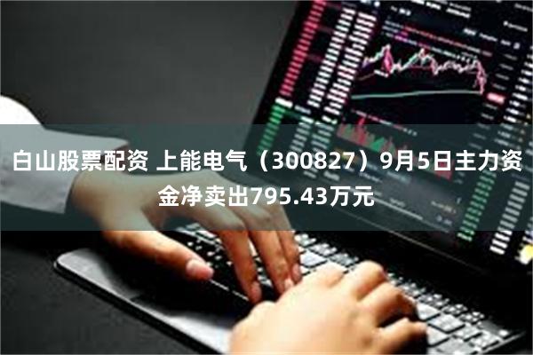 白山股票配资 上能电气（300827）9月5日主力资金净卖出795.43万元