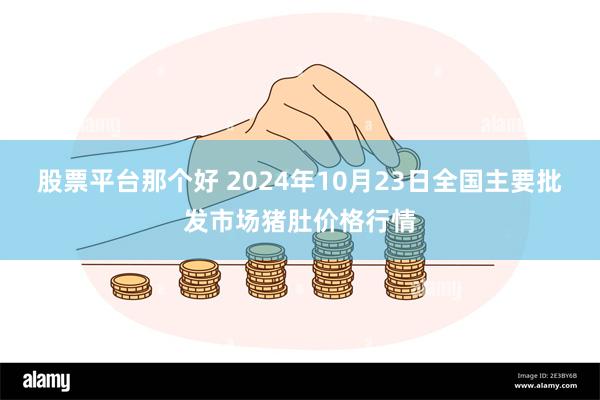 股票平台那个好 2024年10月23日全国主要批发市场猪肚价格行情