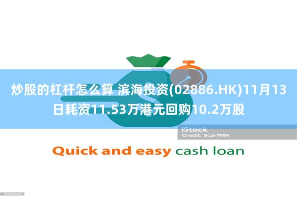 炒股的杠杆怎么算 滨海投资(02886.HK)11月13日耗资11.53万港元回购10.2万股