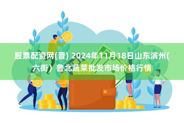 股票配资网(晋) 2024年11月18日山东滨州(六街）鲁北蔬菜批发市场价格行情