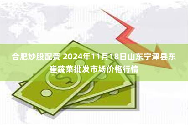 合肥炒股配资 2024年11月18日山东宁津县东崔蔬菜批发市场价格行情