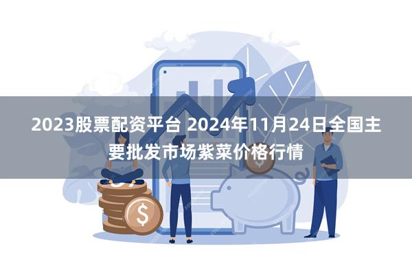 2023股票配资平台 2024年11月24日全国主要批发市场紫菜价格行情