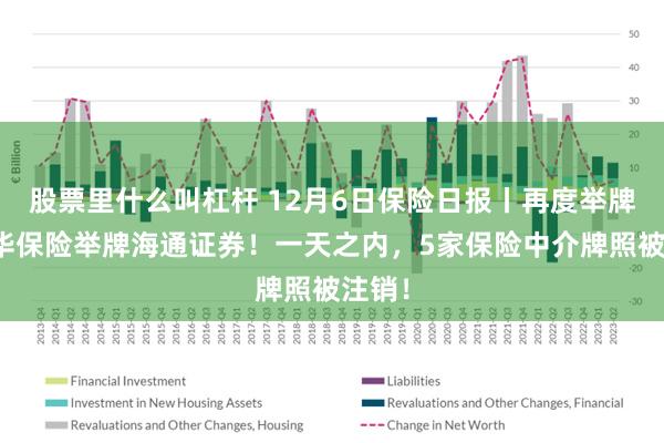 股票里什么叫杠杆 12月6日保险日报丨再度举牌，新华保险举牌海通证券！一天之内，5家保险中介牌照被注