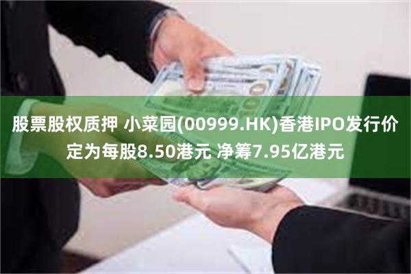 股票股权质押 小菜园(00999.HK)香港IPO发行价定为每股8.50港元 净筹7.95亿港元