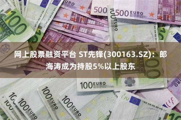 网上股票融资平台 ST先锋(300163.SZ)：郎海涛成为持股5%以上股东