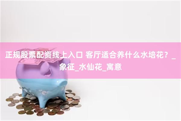 正规股票配资线上入口 客厅适合养什么水培花？_象征_水仙花_寓意