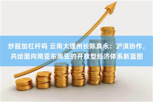 炒股加杠杆吗 云南大理州长陈真永：沪滇协作，共绘面向南亚东南亚的开放型经济体系新蓝图