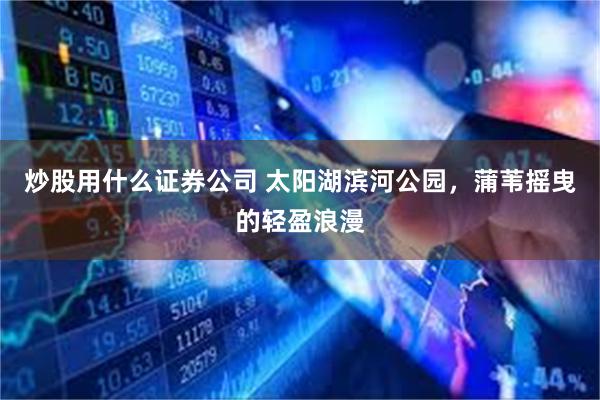 炒股用什么证券公司 太阳湖滨河公园，蒲苇摇曳的轻盈浪漫