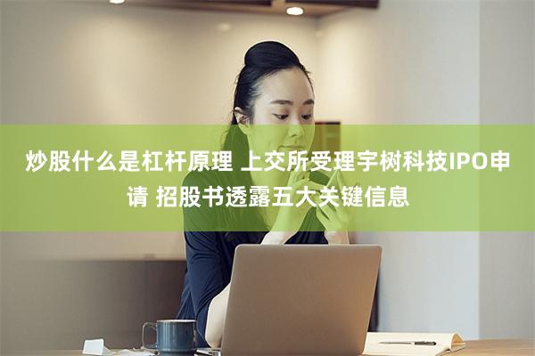 炒股什么是杠杆原理 上交所受理宇树科技IPO申请 招股书透露五大关键信息