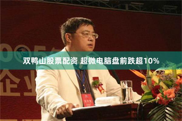 双鸭山股票配资 超微电脑盘前跌超10%
