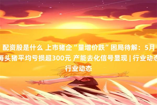 配资股是什么 上市猪企“量增价跌”困局待解：5月每头猪平均亏损超300元 产能去化信号显现 | 行业动态