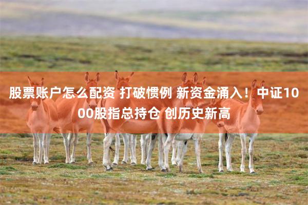 股票账户怎么配资 打破惯例 新资金涌入！中证1000股指总持仓 创历史新高