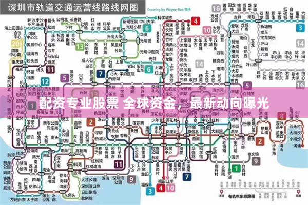 配资专业股票 全球资金，最新动向曝光