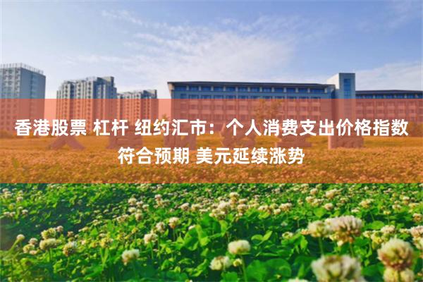 香港股票 杠杆 纽约汇市：个人消费支出价格指数符合预期 美元延续涨势
