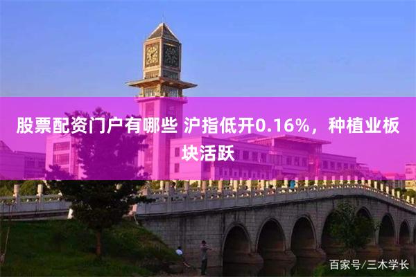 股票配资门户有哪些 沪指低开0.16%，种植业板块活跃