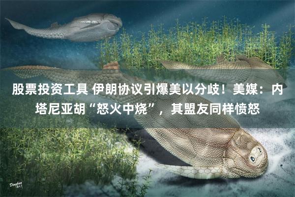 股票投资工具 伊朗协议引爆美以分歧！美媒：内塔尼亚胡“怒火中烧”，其盟友同样愤怒
