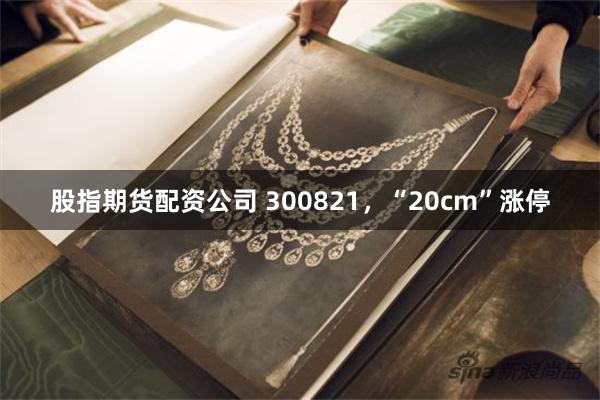 股指期货配资公司 300821，“20cm”涨停